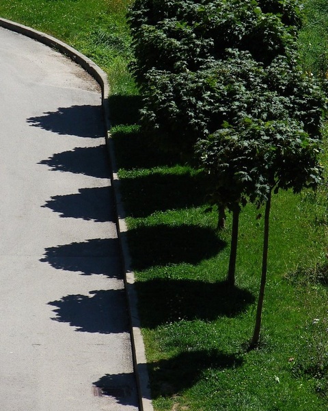 v senčni vrsti by Andrej Gubič