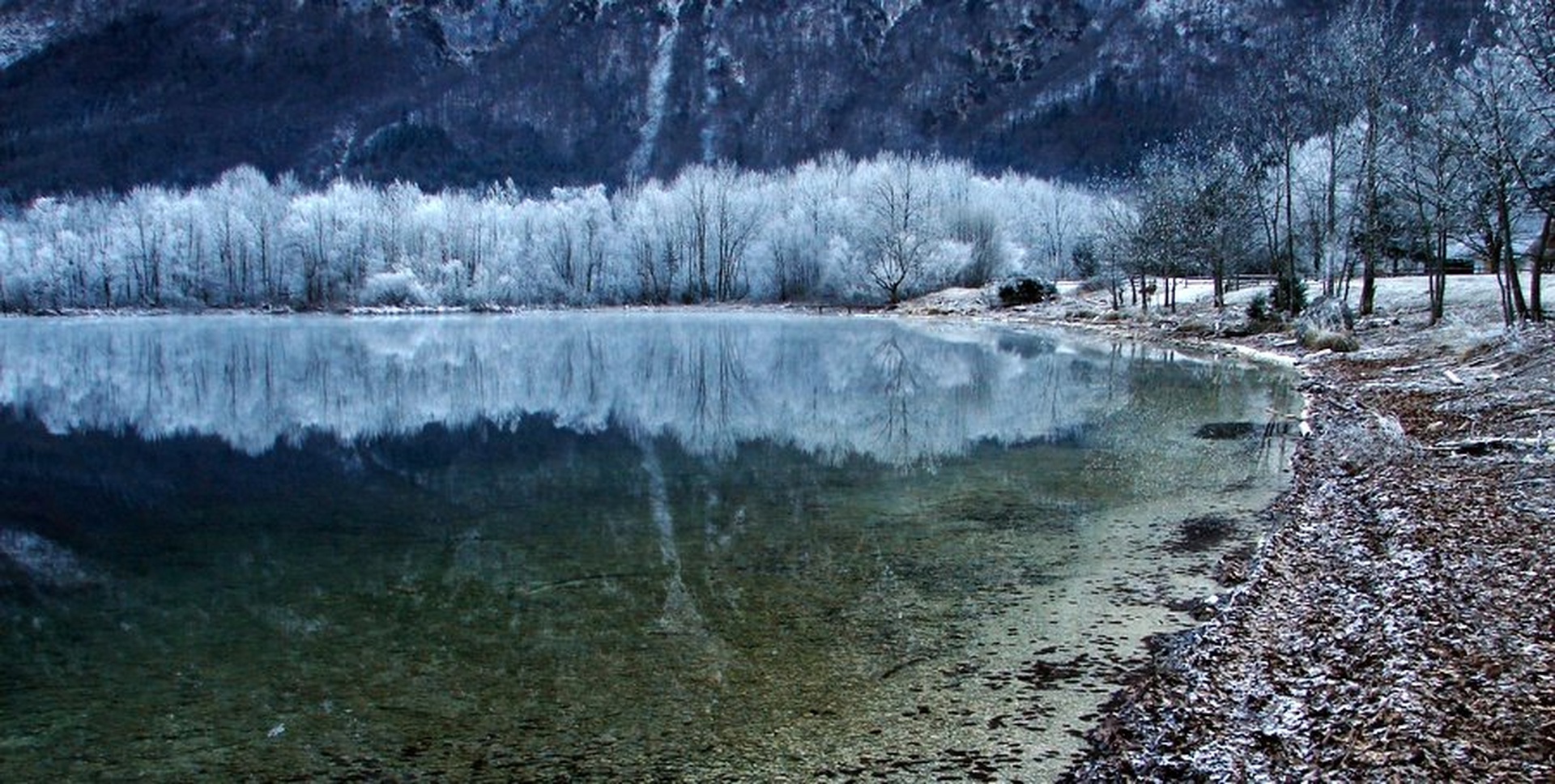 Bohinj v ivju I. by Andrej Gubič