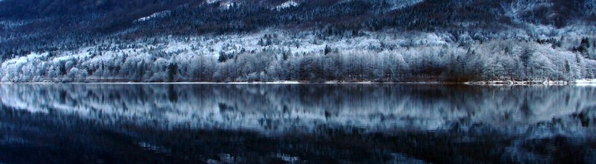 Bohinj v ivju V. by Andrej Gubič
