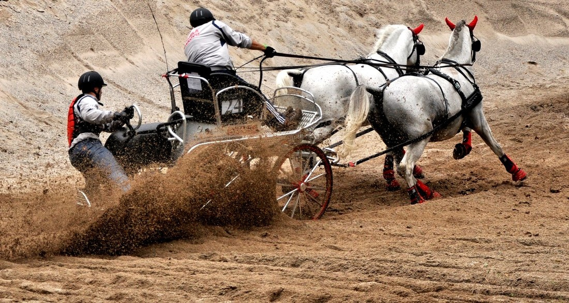 Horse Pair Marathon by Andrej Gubič