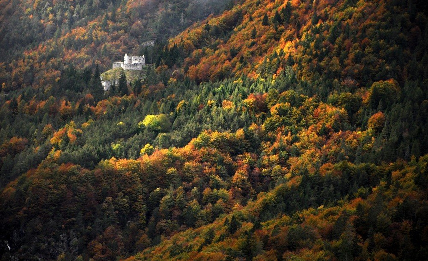 jesenska barvitost II. by Andrej Gubič