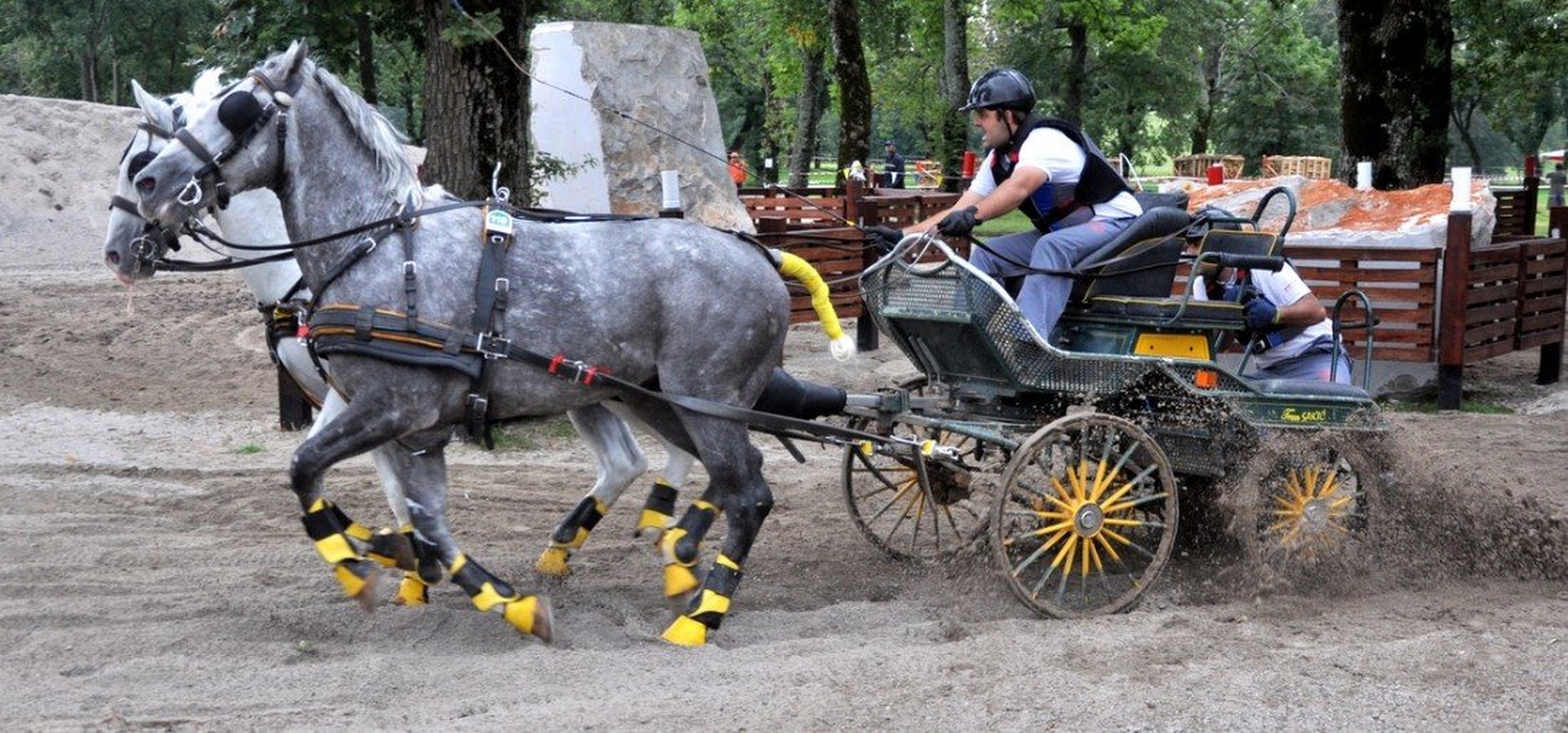 Horse Pair  Marathon IV. by Andrej Gubič