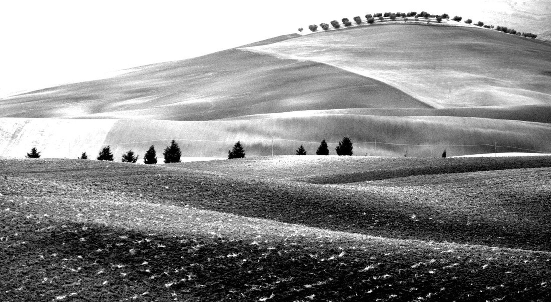 Toscana eleven by Andrej Gubič