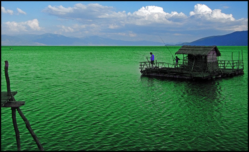 Ribič na splavu by t.m.