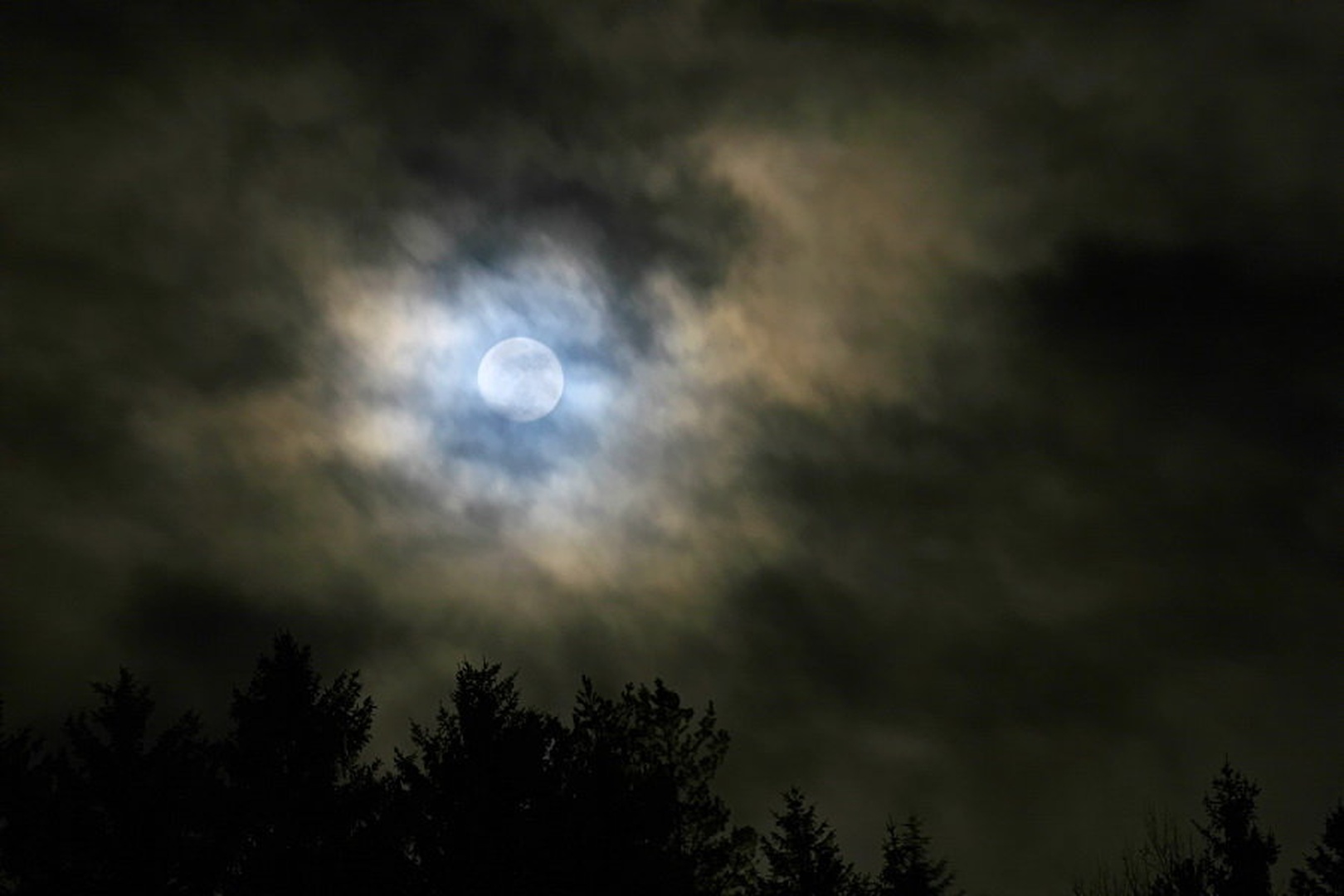 luna by klemen