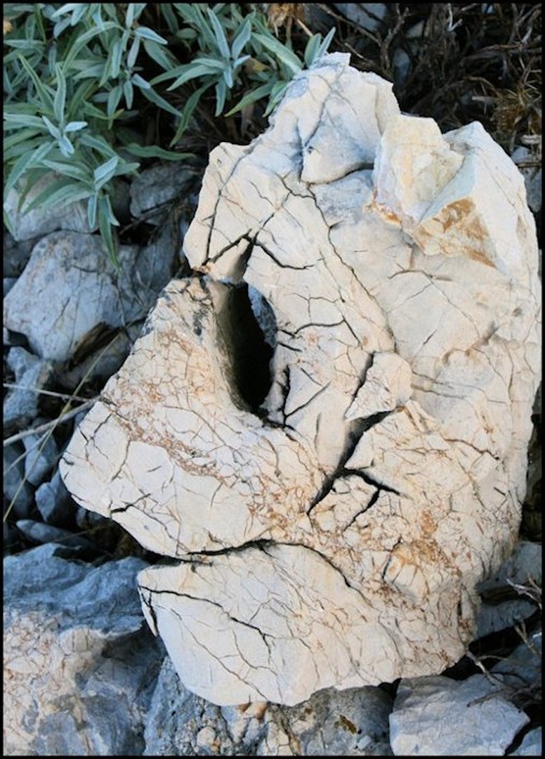 Star oča by Marjan
