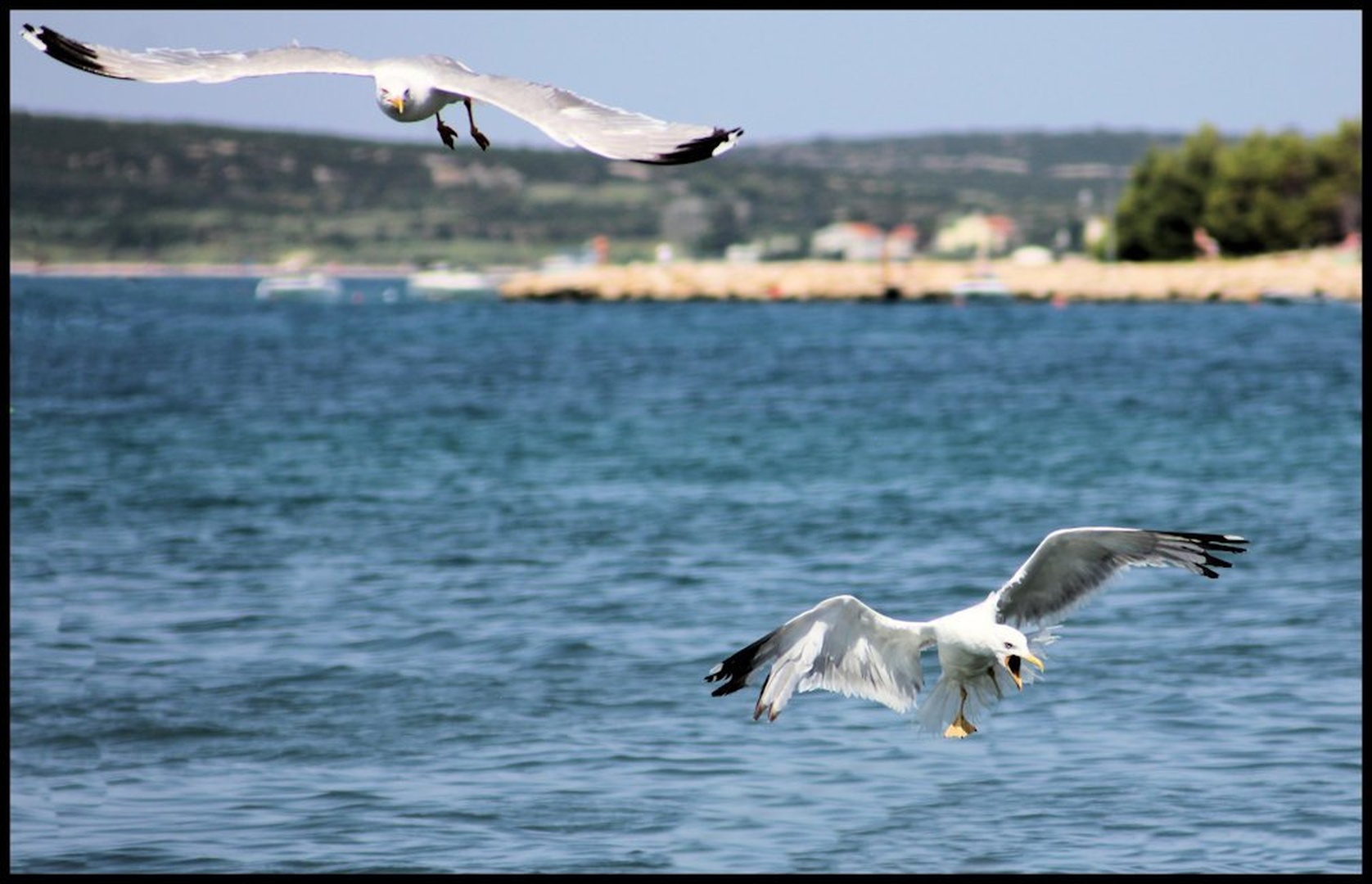Prihajam by Marjan