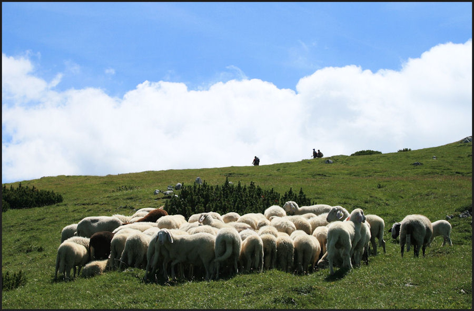Tam gori. by Marjan