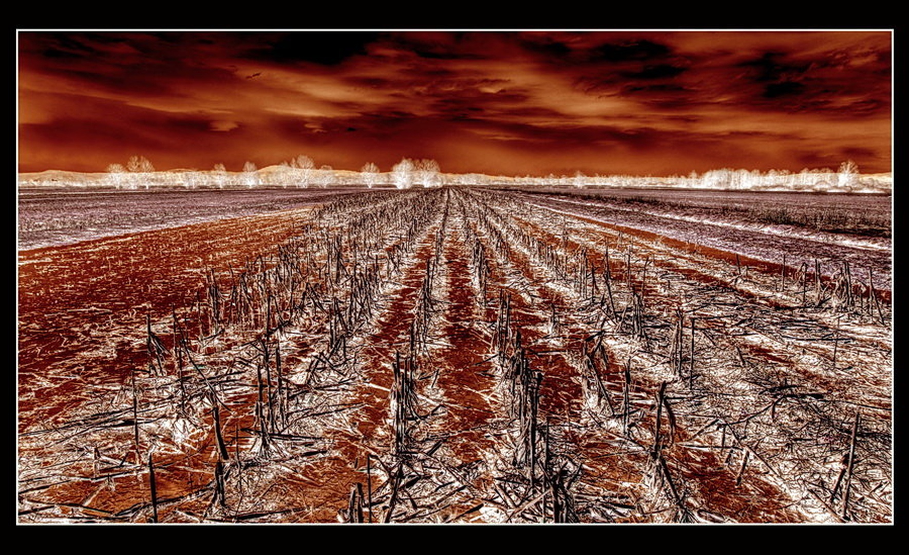 Rdeče polje by Peter Gregorčič