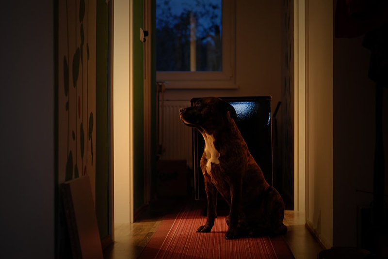 Wait by byn