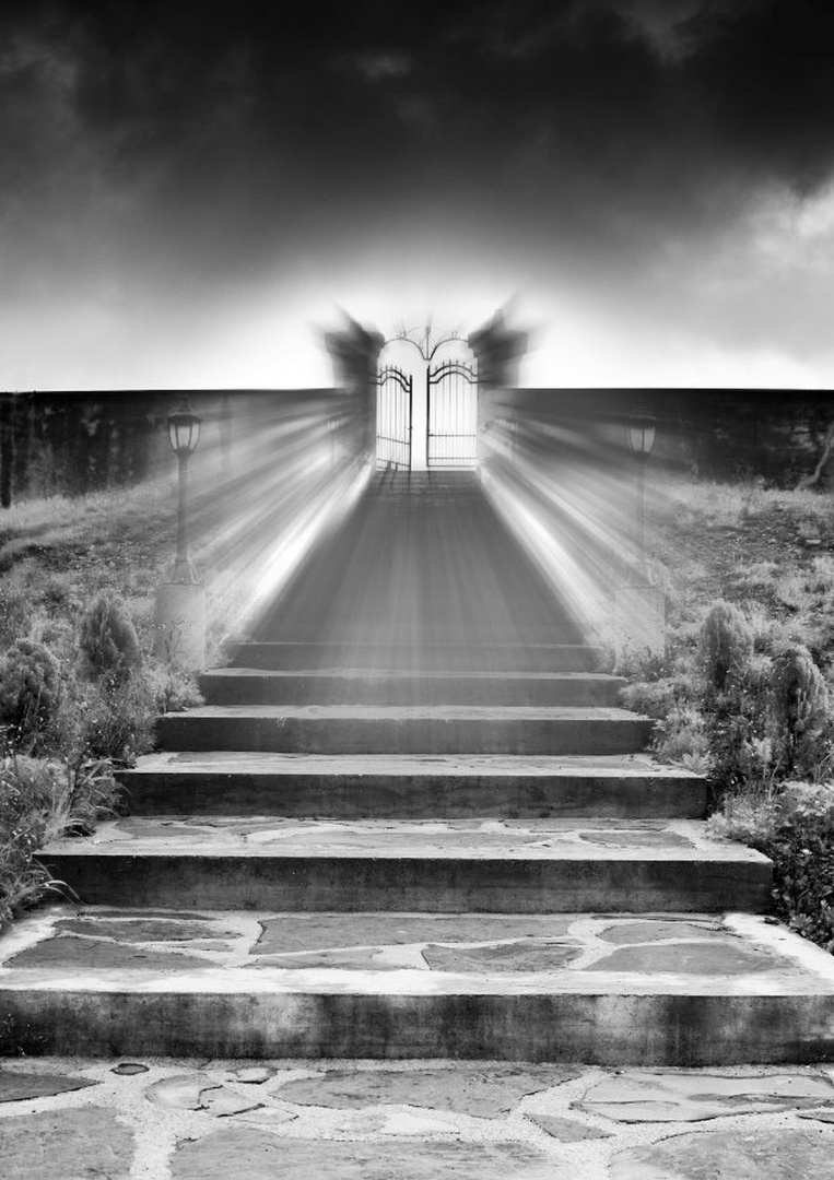 vstopi by Uroš Malešević