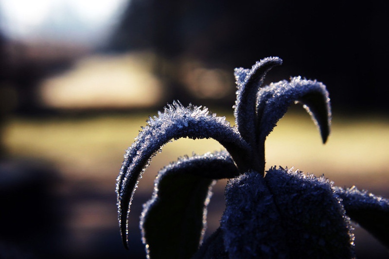Hladno jutro by GrupaTNT
