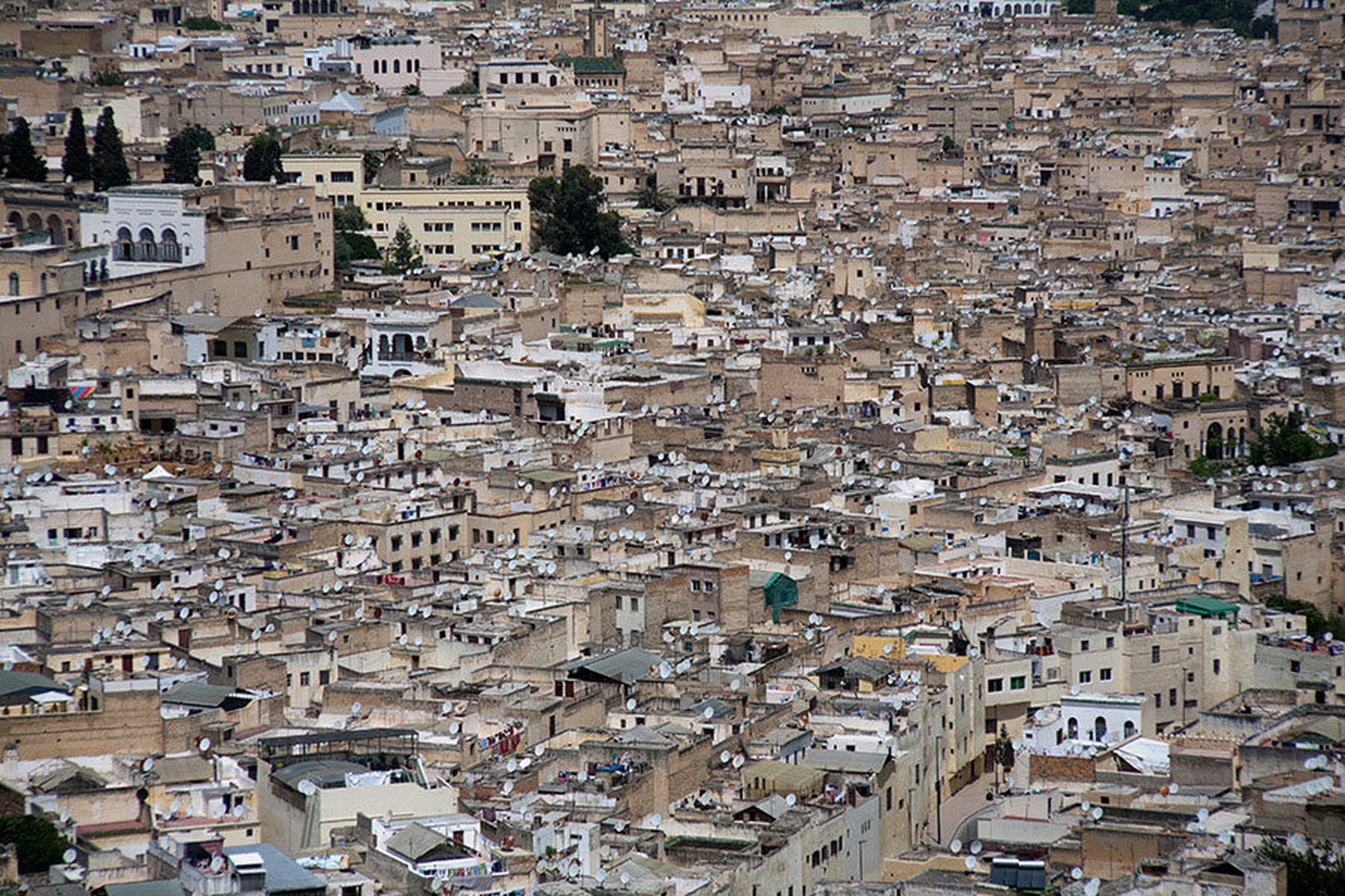 Urbana divjina by