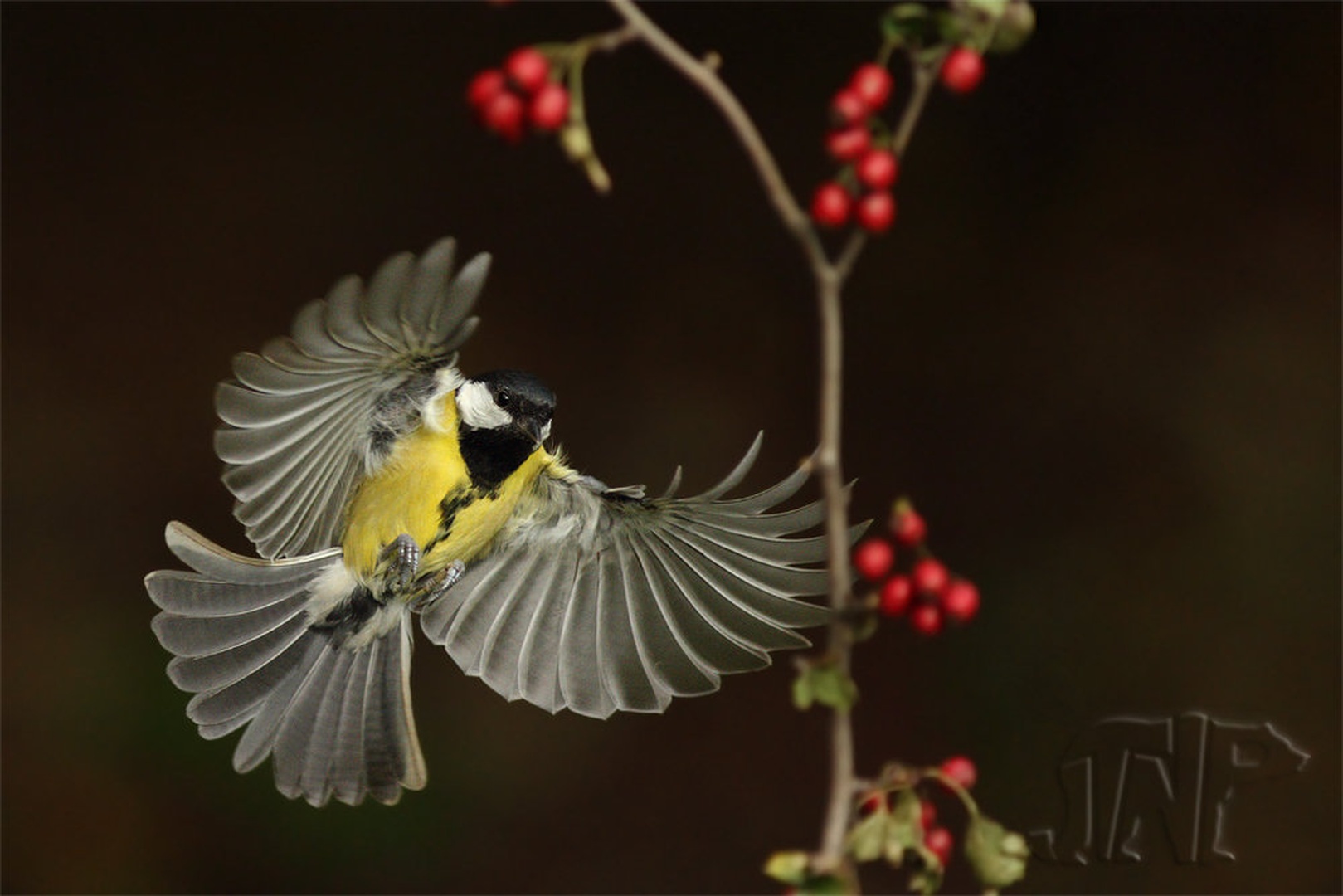 Landing by