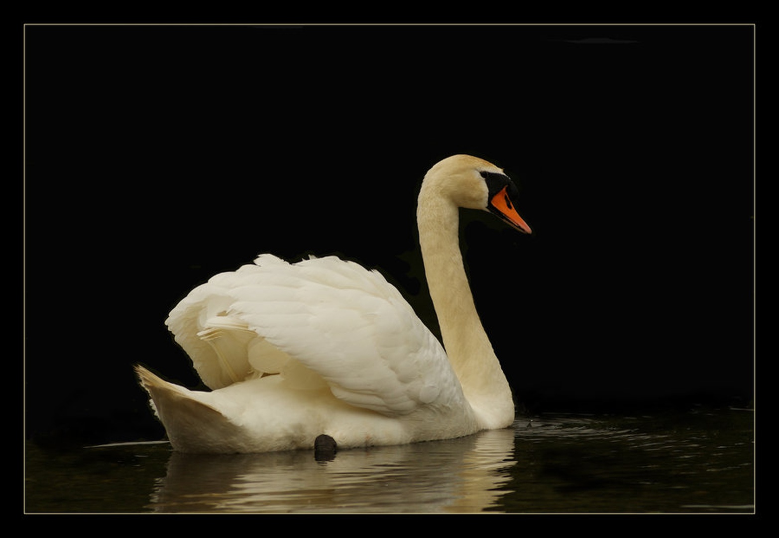 Plutos by Boboss