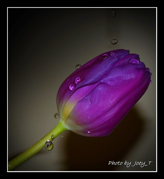 Let it rain by Joey