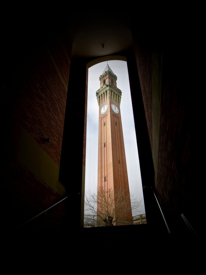 Old Joe by Tim Podlogar