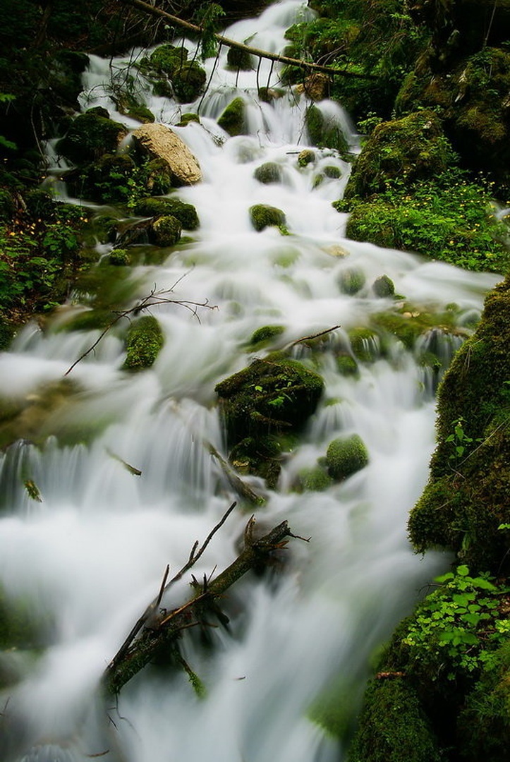 Izvir Kam.Bistrice by