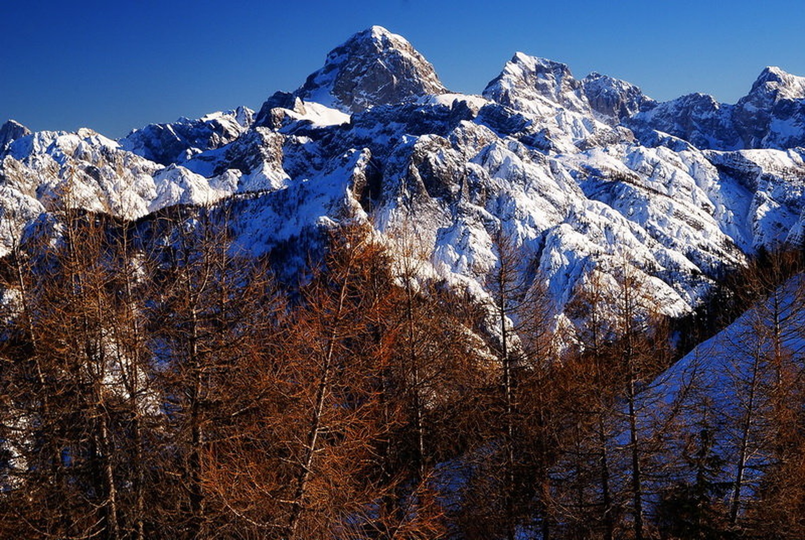 Narava-umetnik na svobodi by