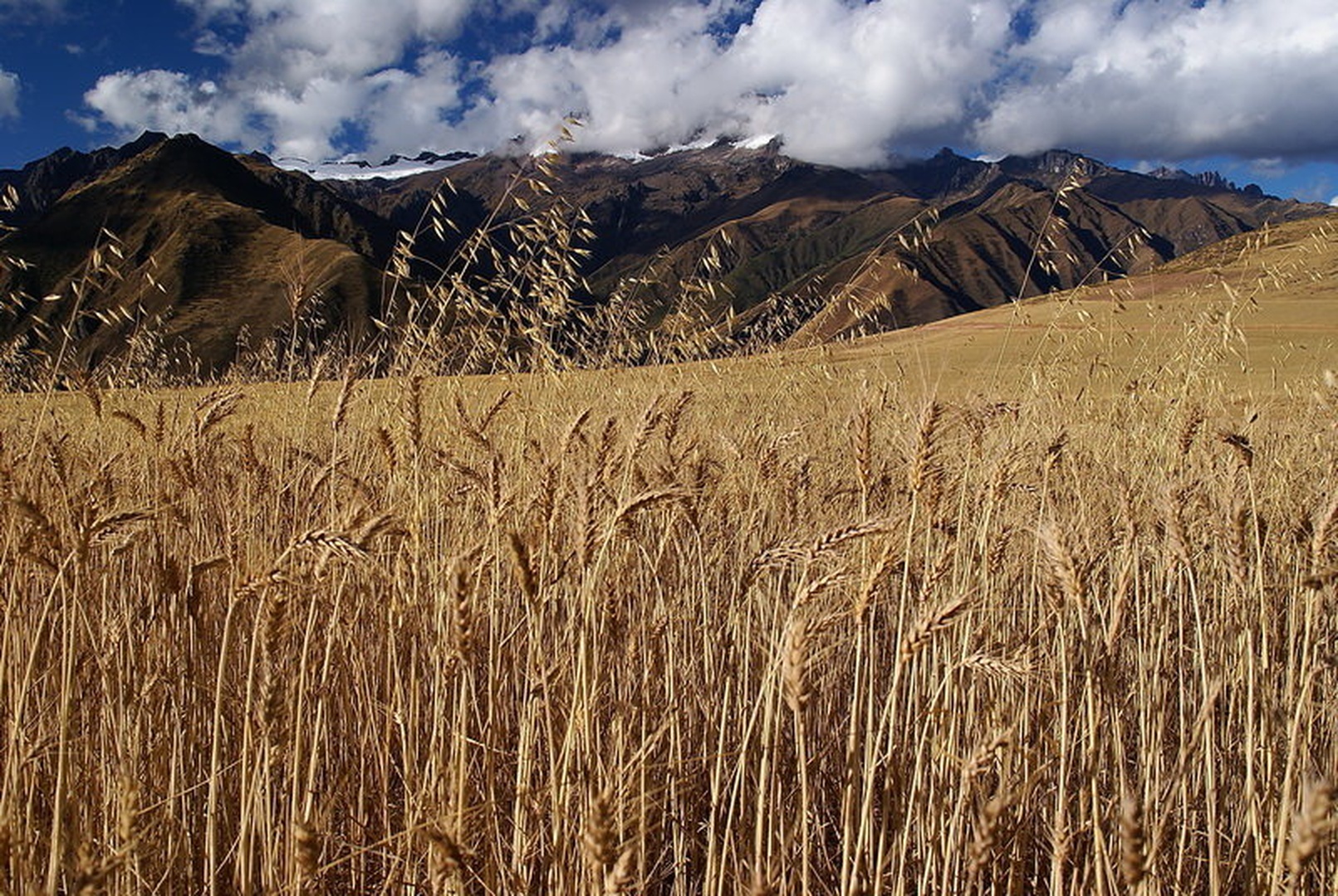 Altiplano by