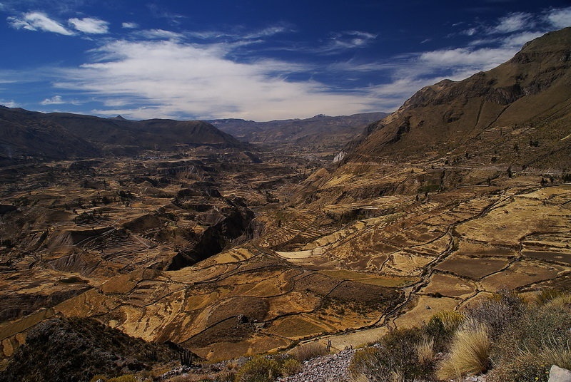 Colca by budo