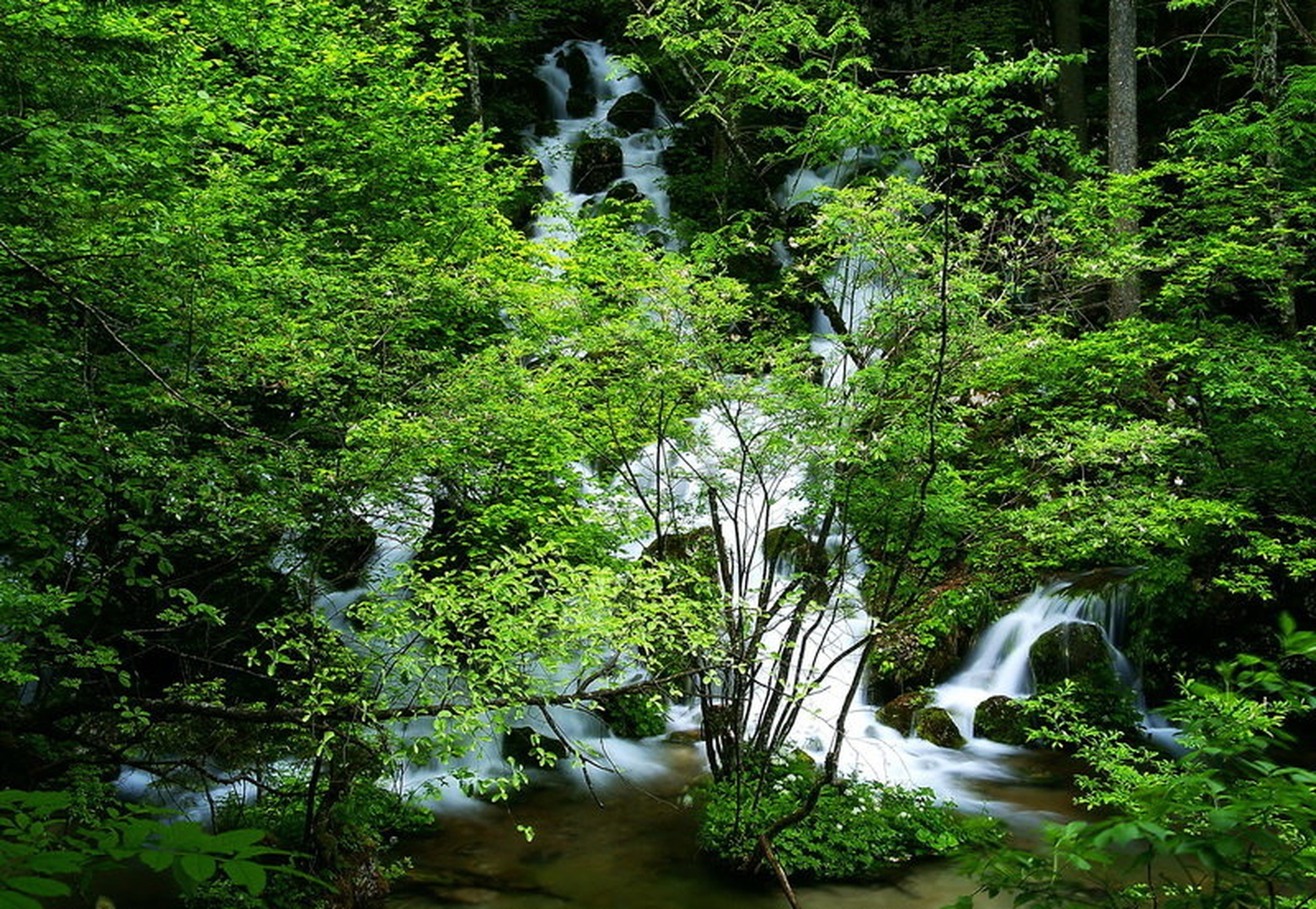 Izvir Kam.Bistrice by