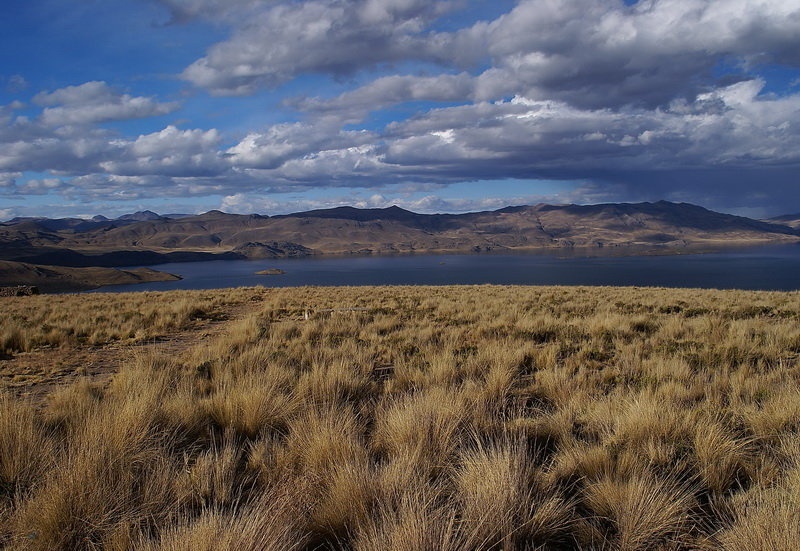Lepote Peruja by budo