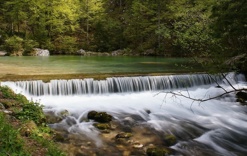 Izvir Kam.Bistrice by budo