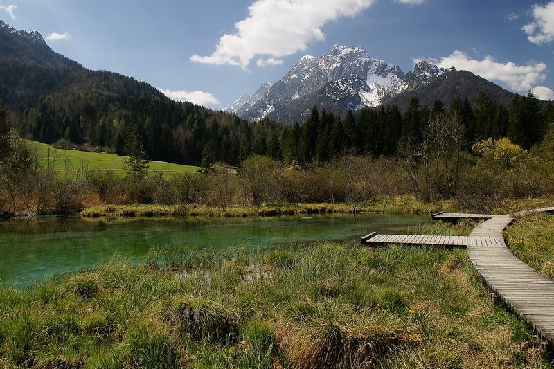 Zelenci by budo