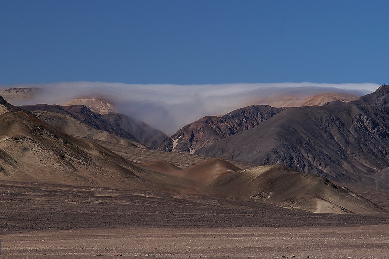 Nazca by