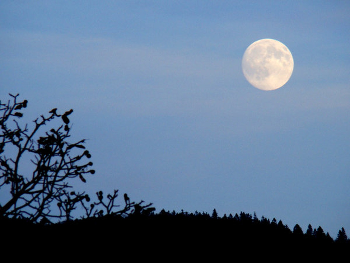 noč by Lara