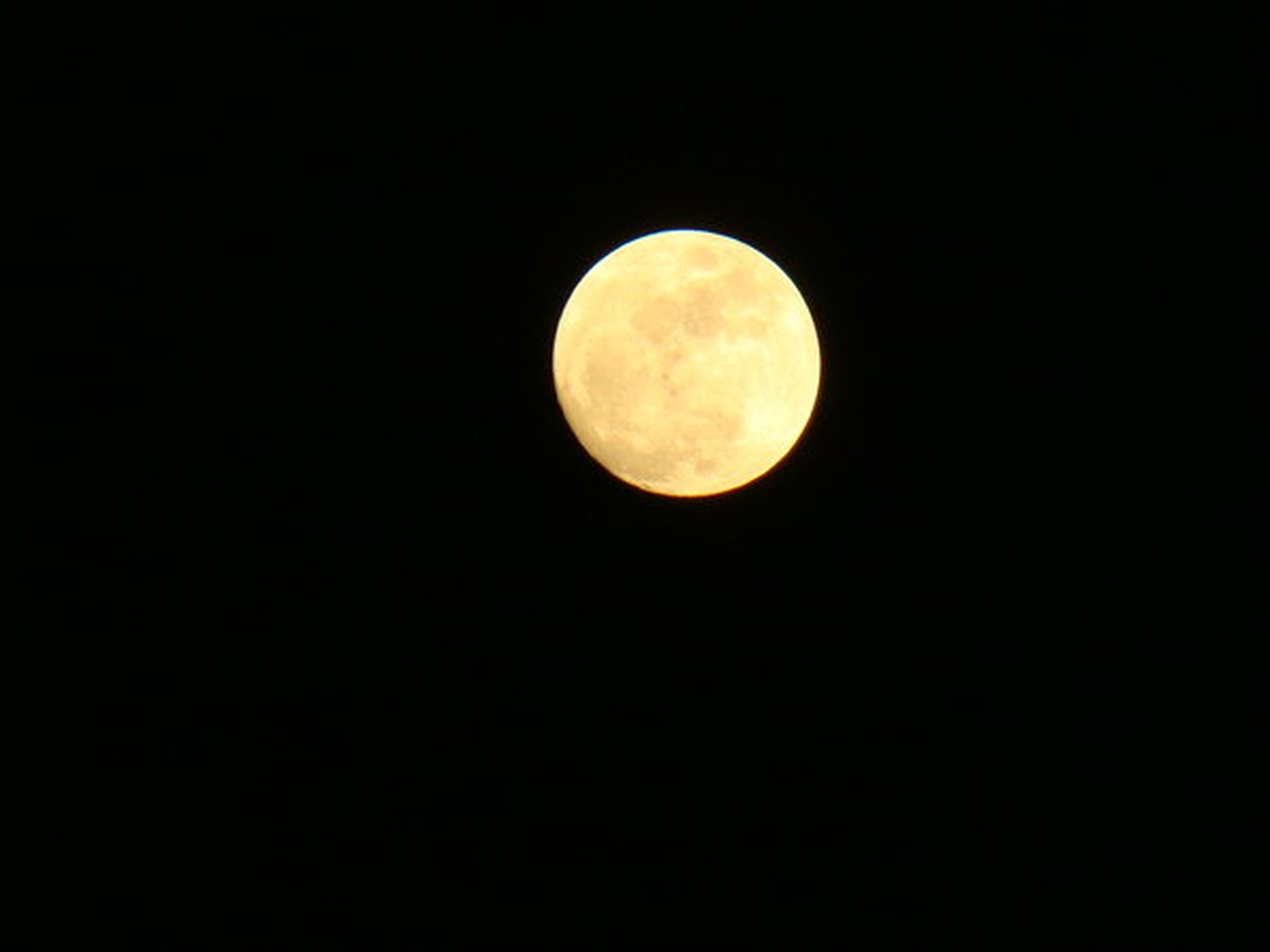 moon by Lara
