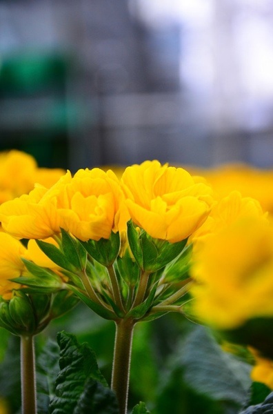 Odvzeta iz množice by gumilar