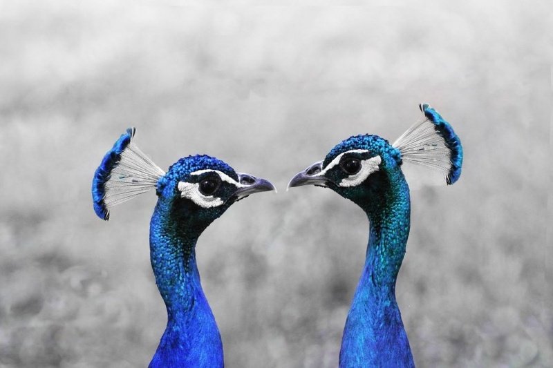 2 by Andreja Gril