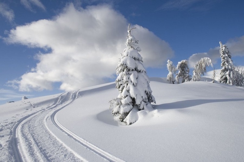Ski trail by Andreja Gril