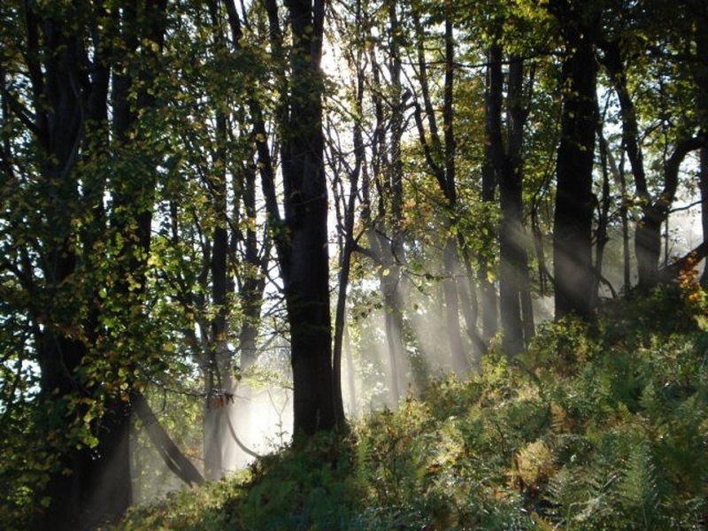 rosno jutro by Blaž
