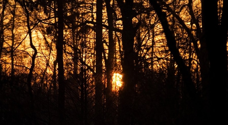 morning sun by snow