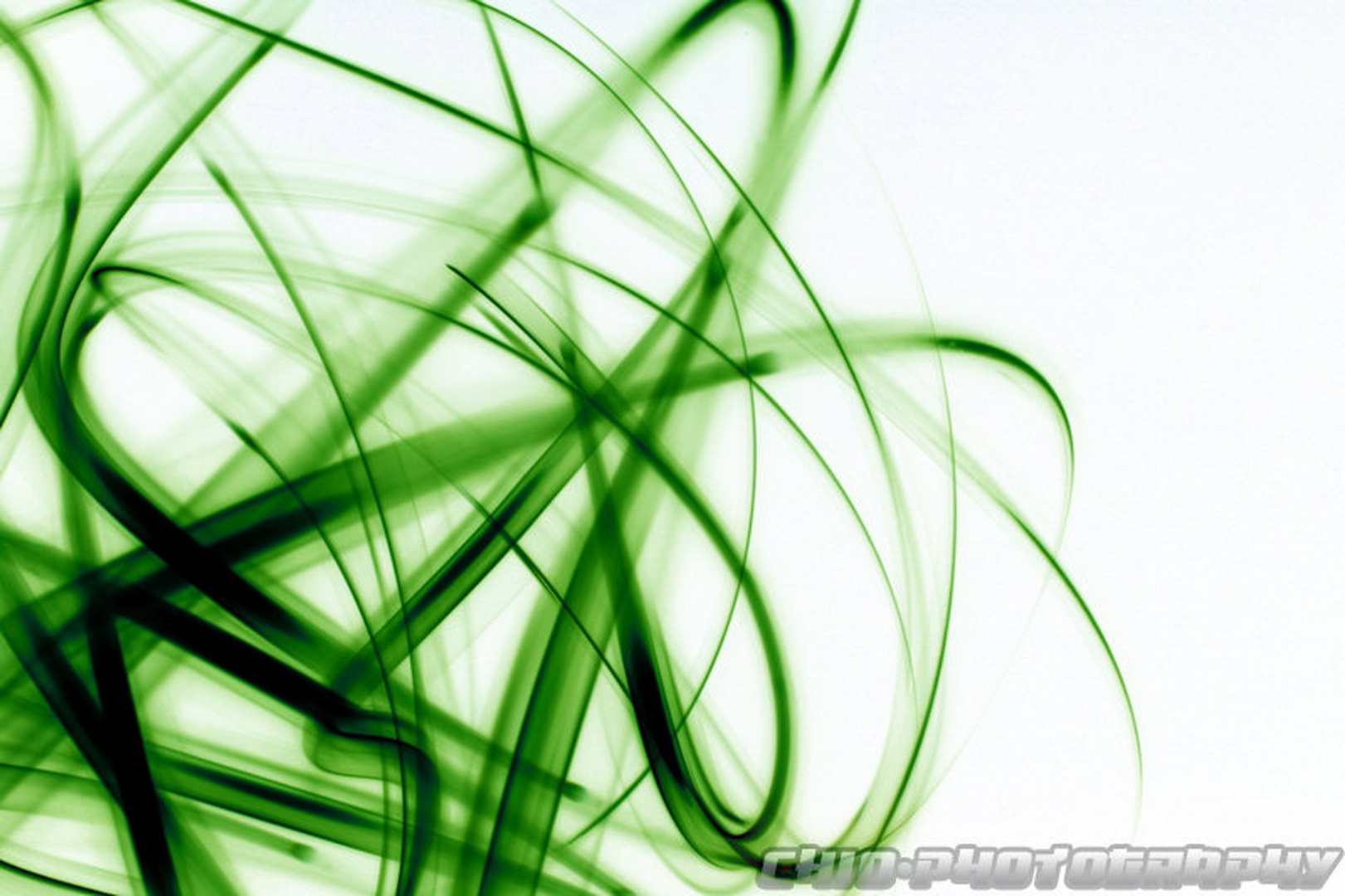 Poison by