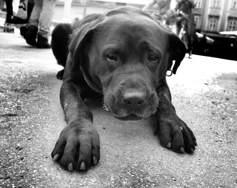 Can I Come Near You ? by Chio