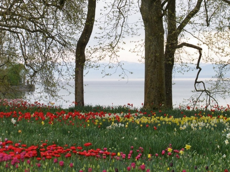 Otok Mainau by Neja