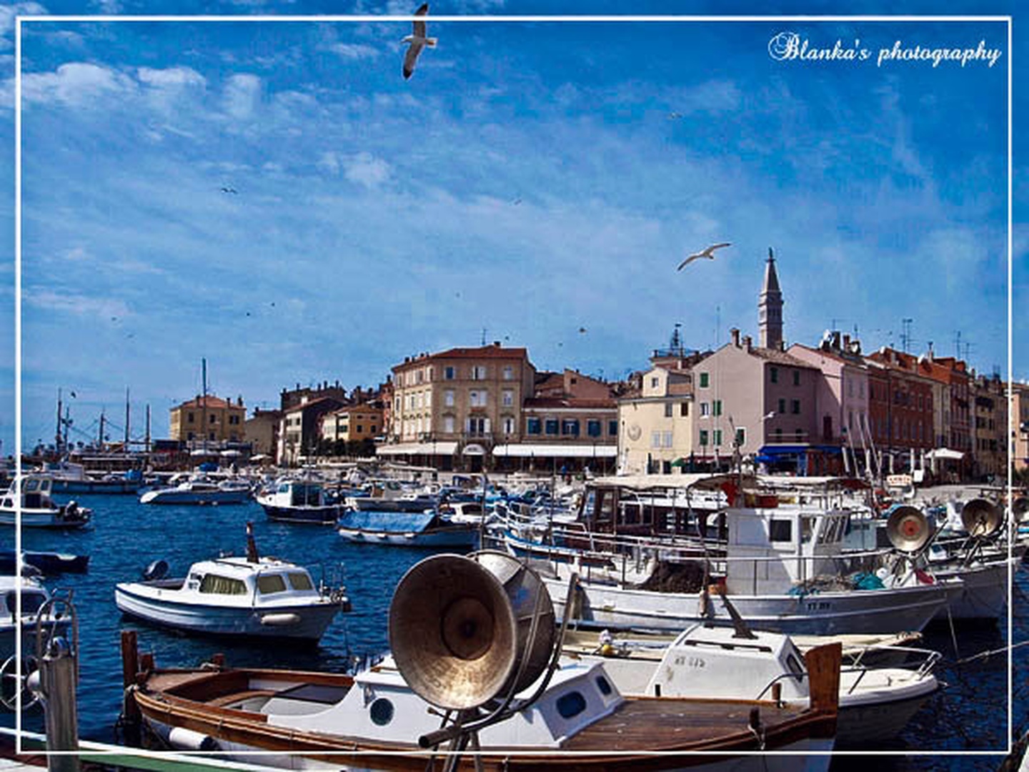 Rovinj by Blanka Kozamernik