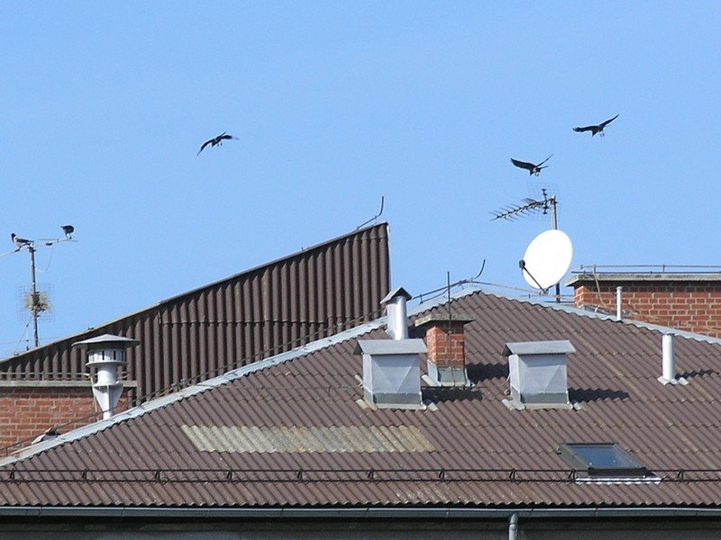 Letališče by