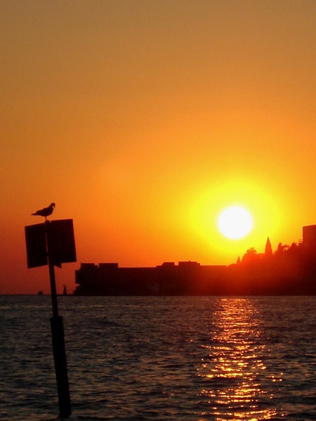 Sunset by Grega Gardener