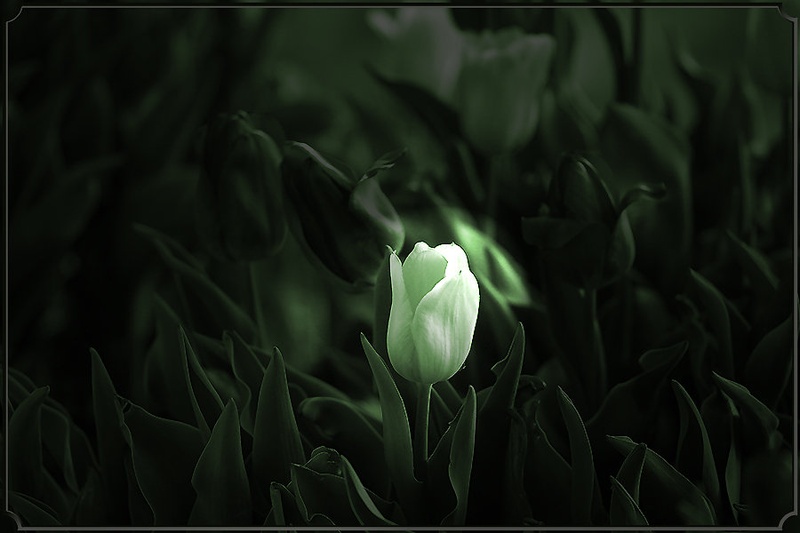 Izjema..... by milan kern