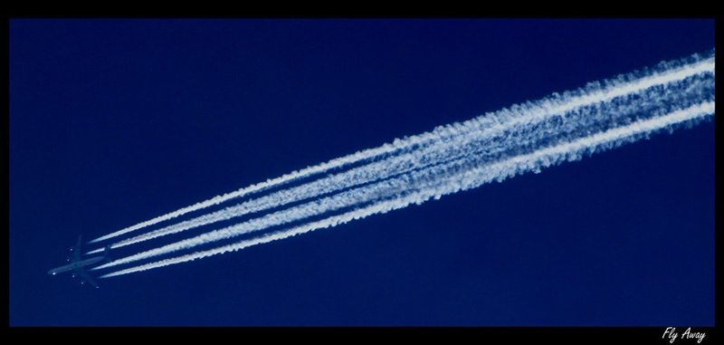 Fly Away by Sašo Š.