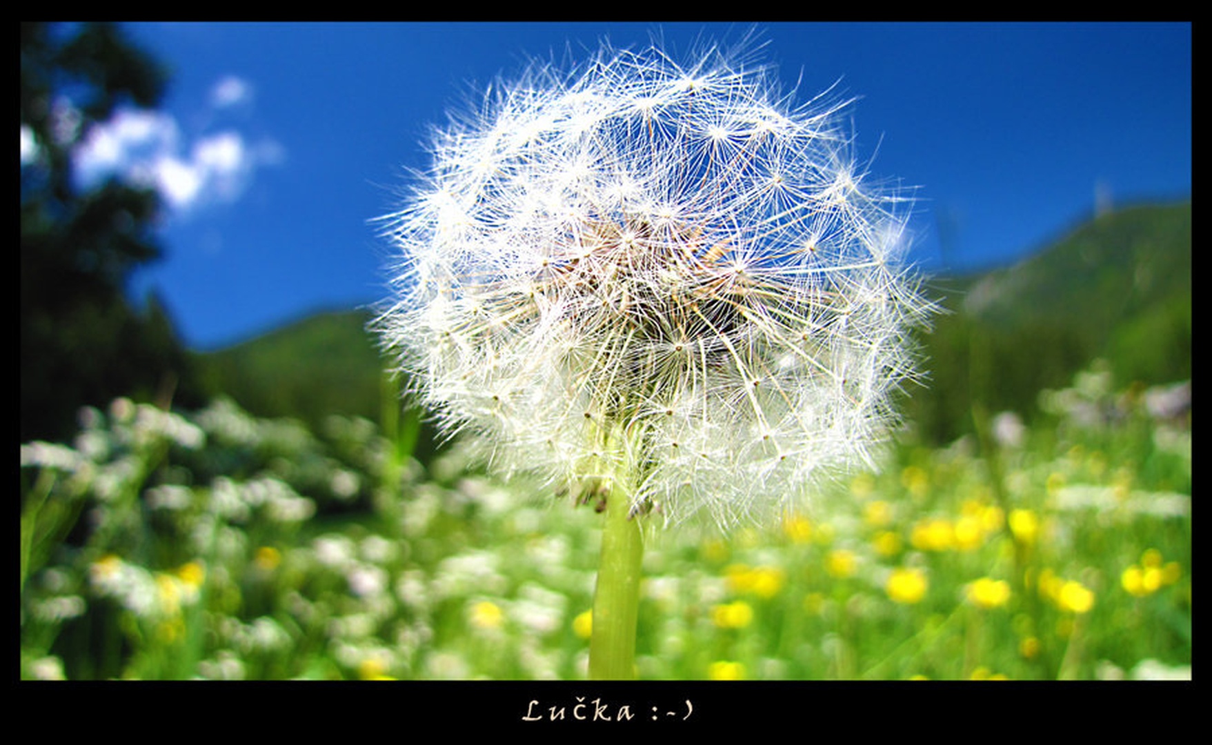 Lučka by Sašo Š.