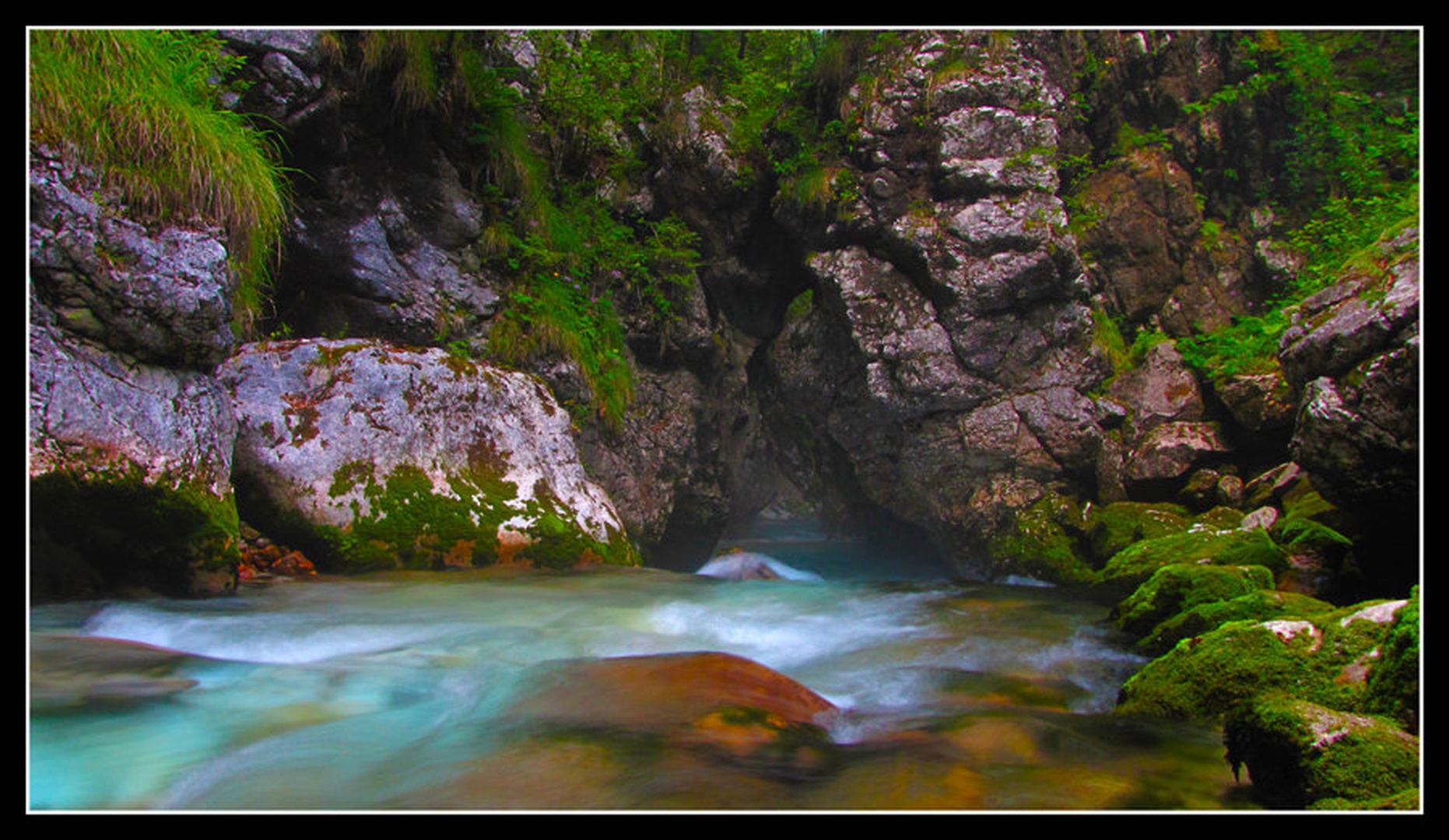 Zeleni tunel by Sašo Š.