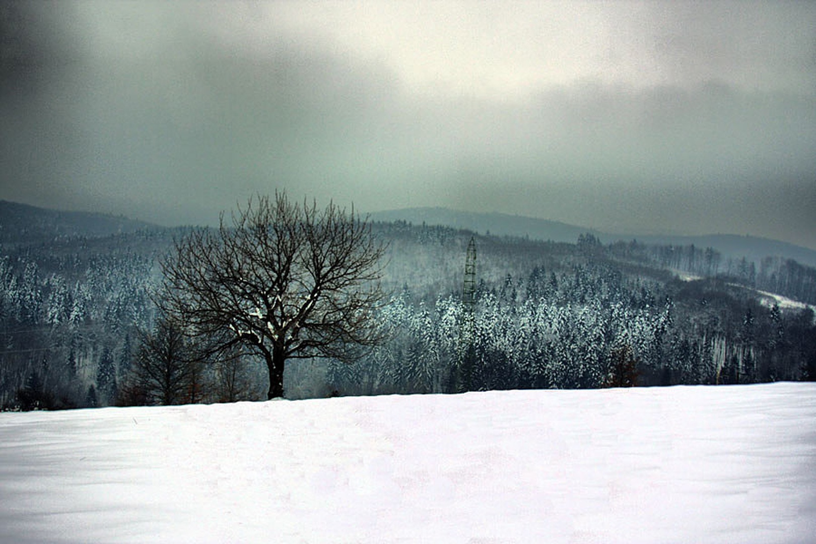 Zimska turobnost by Sašo Š.