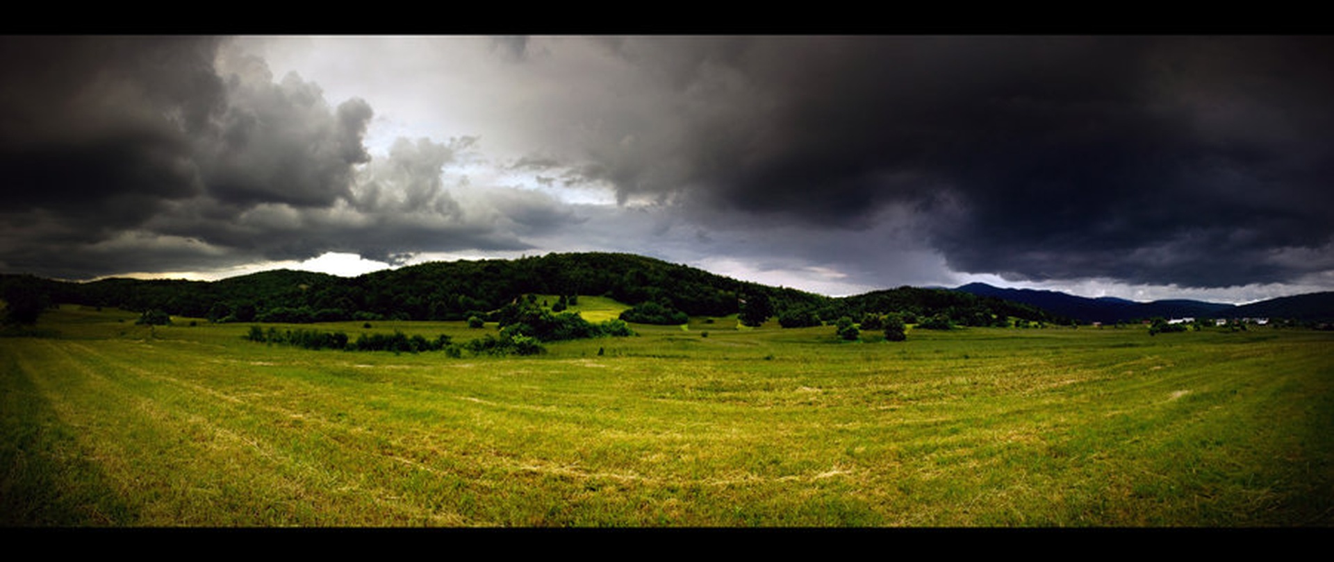 Dark meadow by Sašo Š.