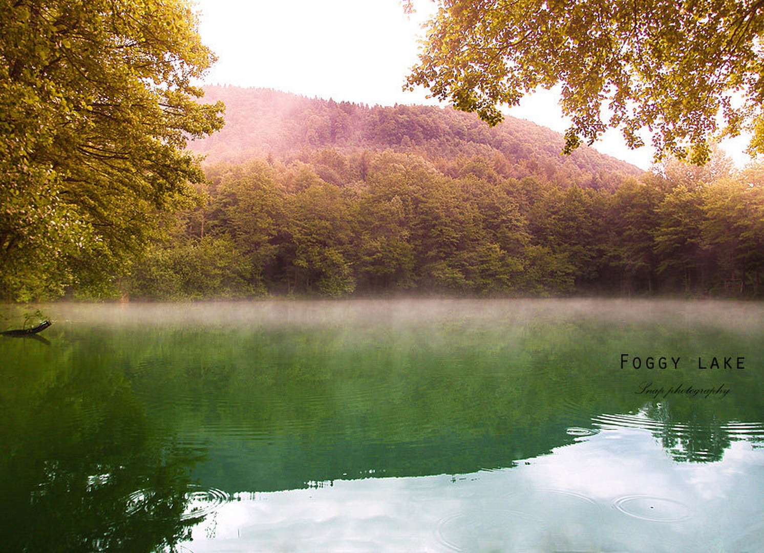 Foggy lake by Sašo Š.
